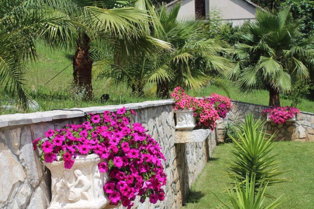 Elegance Duplexes By Monte Aria Herceg Novi Exterior foto